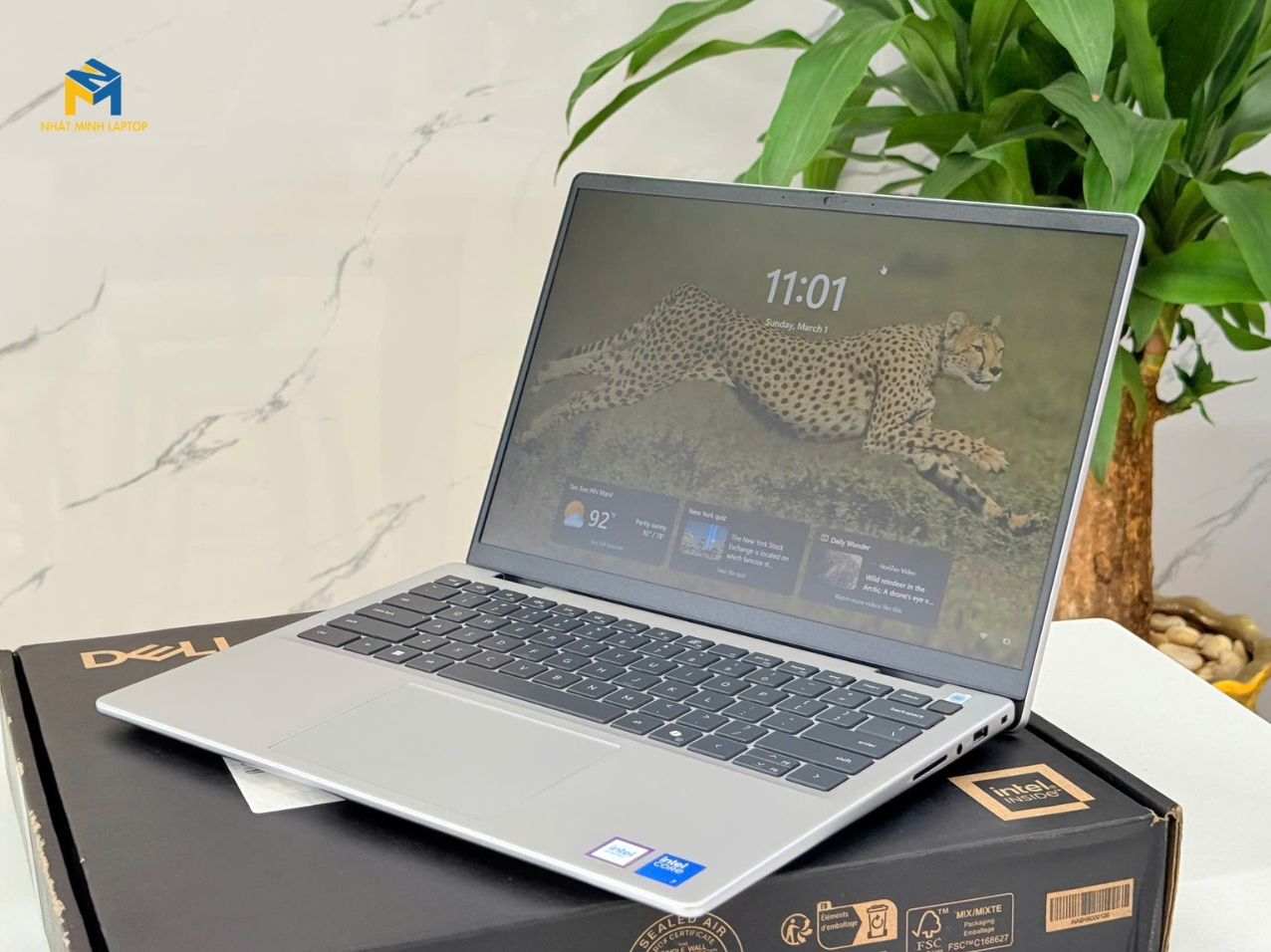 Trang bị đa dạng vi xử lý