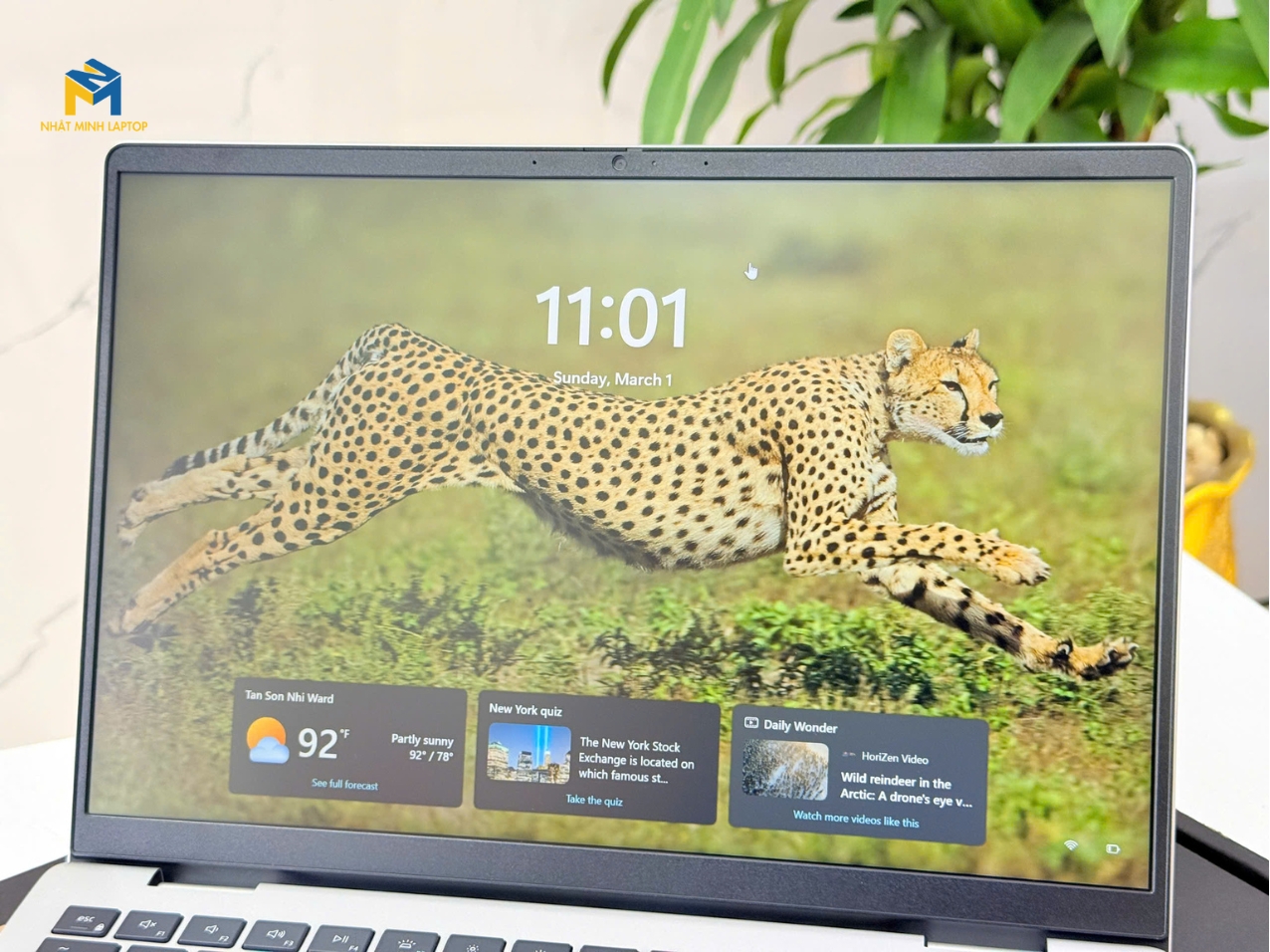 Dell 14 Plus DC14250 | Laptop AI Copilot Dell 2025