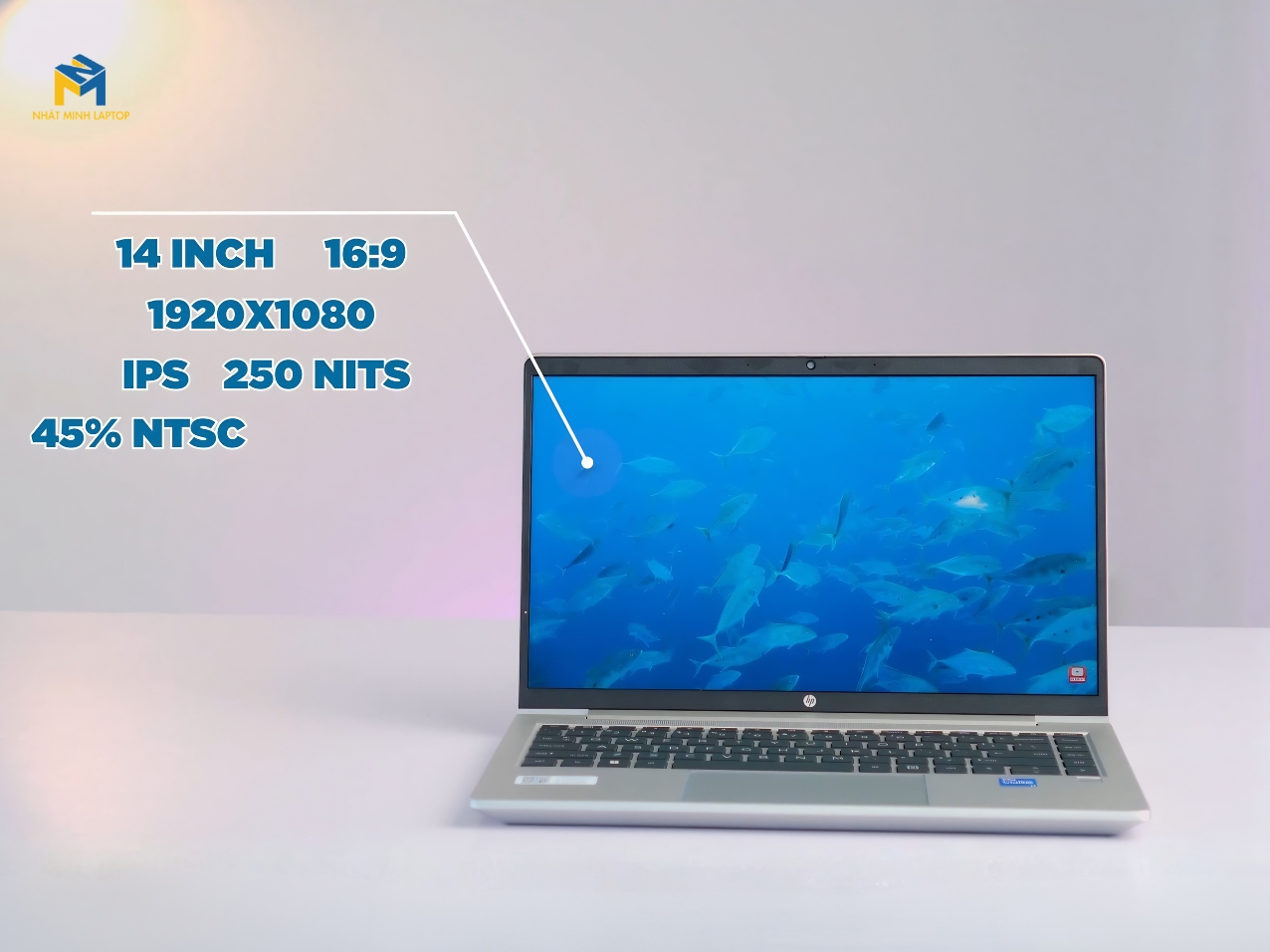 Laptop HP ProBook 440 G8: Trợ thủ đắc lực – Cân mọi deadline văn phòng
